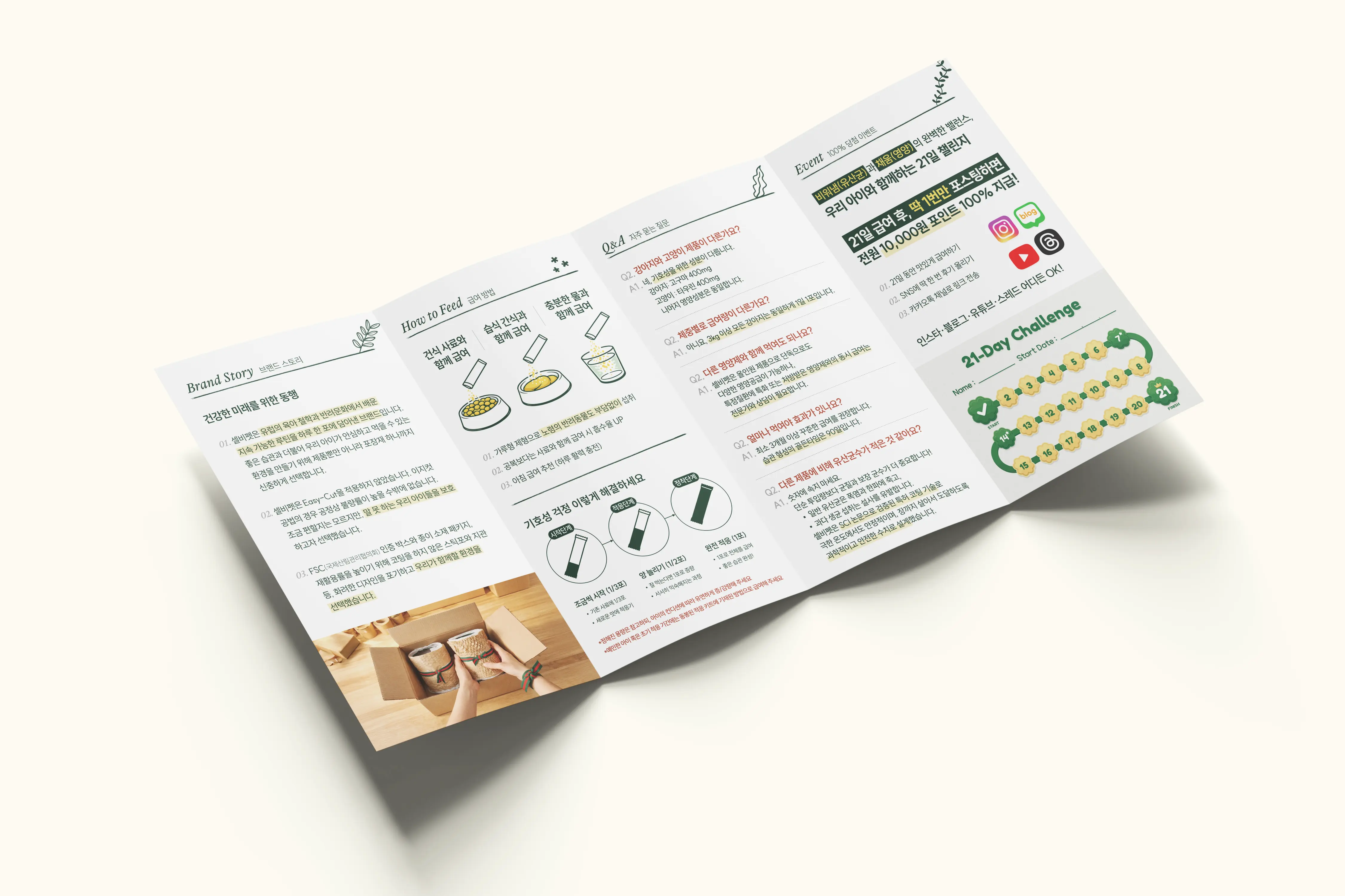 cellbipet.com/leaflet 상세 이미지 2