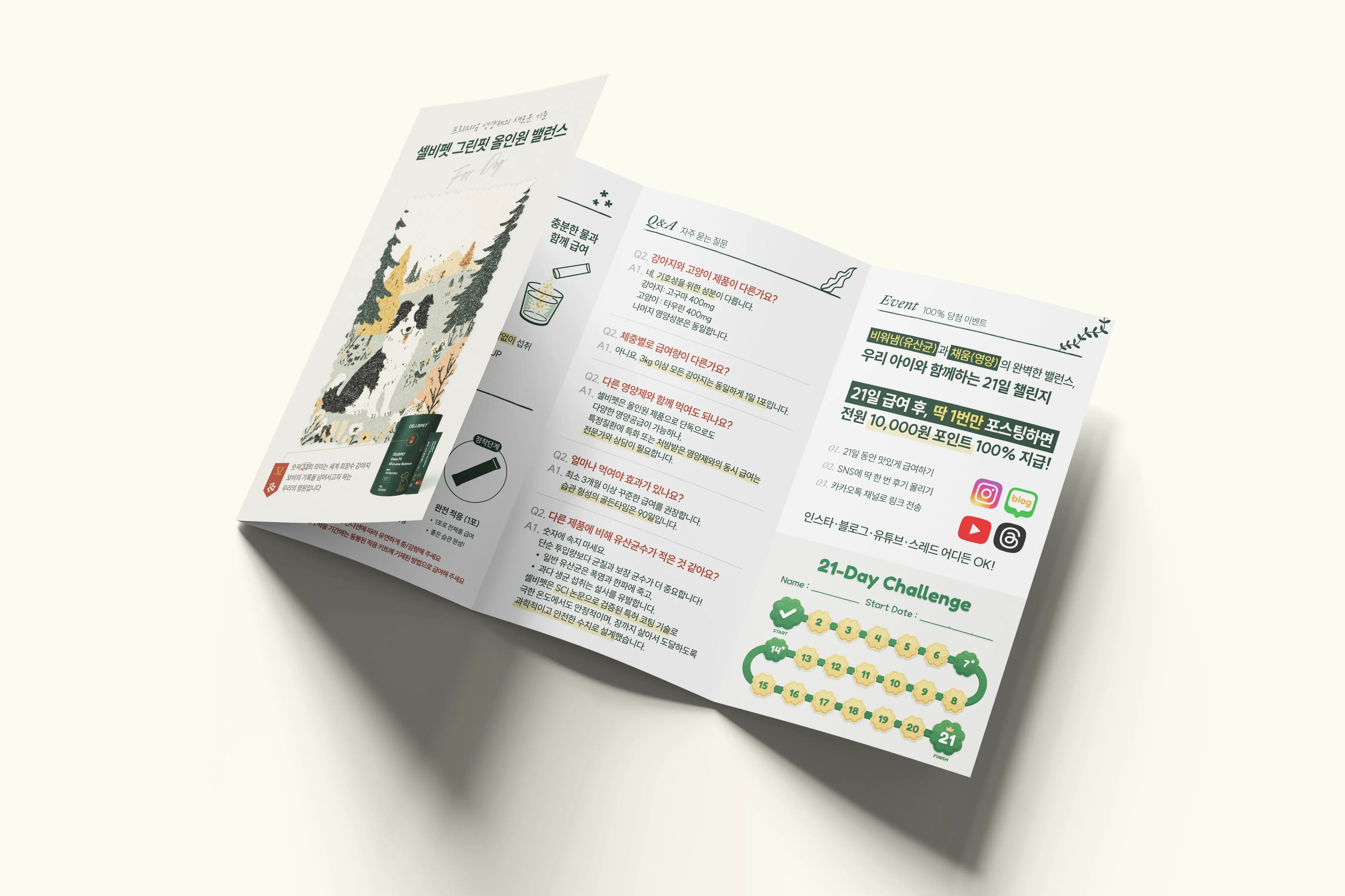 cellbipet.com/leaflet 상세 이미지 3