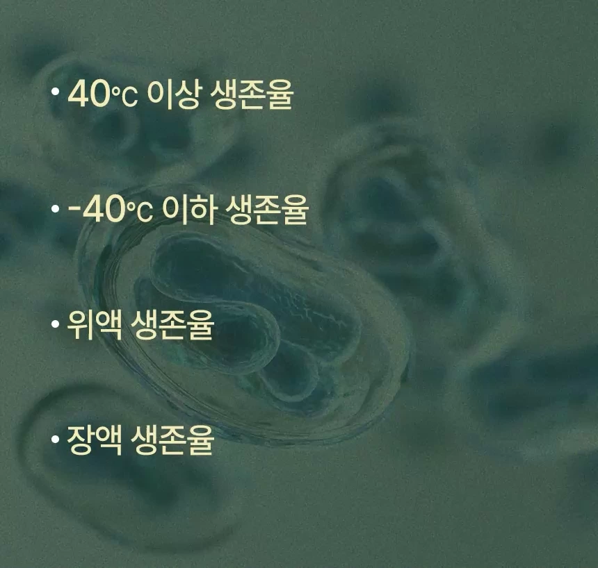 cellbipet.com/올인원-for-dog 상세 이미지 11