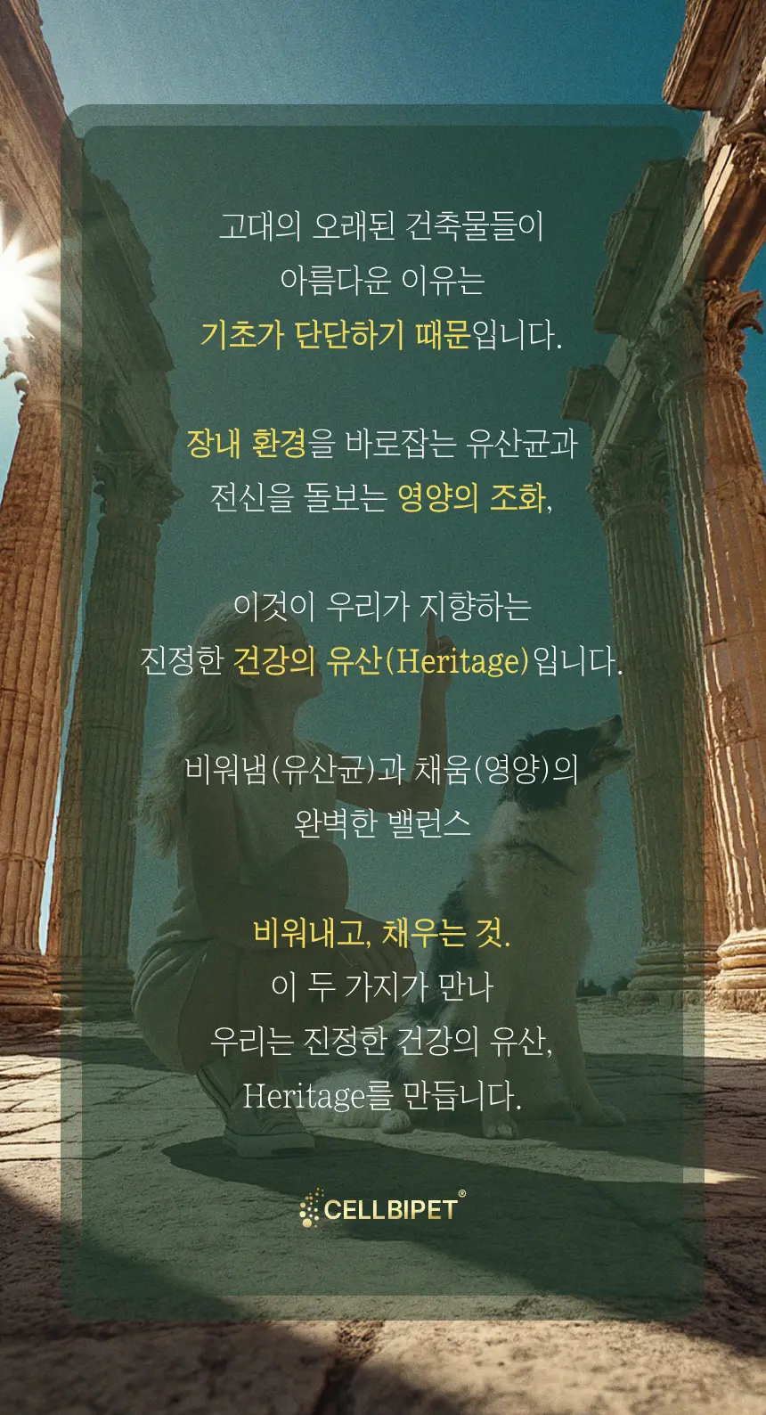 cellbipet.com/올인원-for-dog 상세 이미지 27