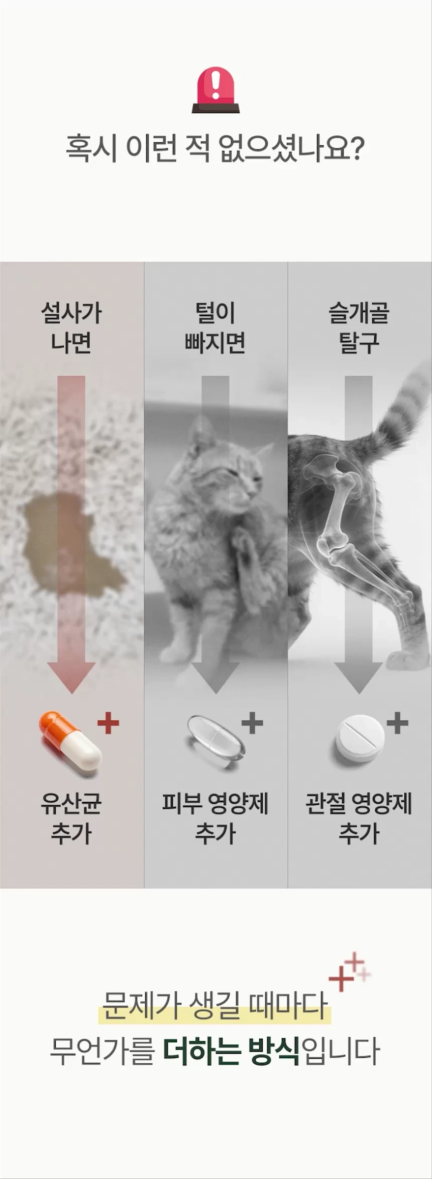 cellbipet.com/올인원-for-cat 상세 이미지 4
