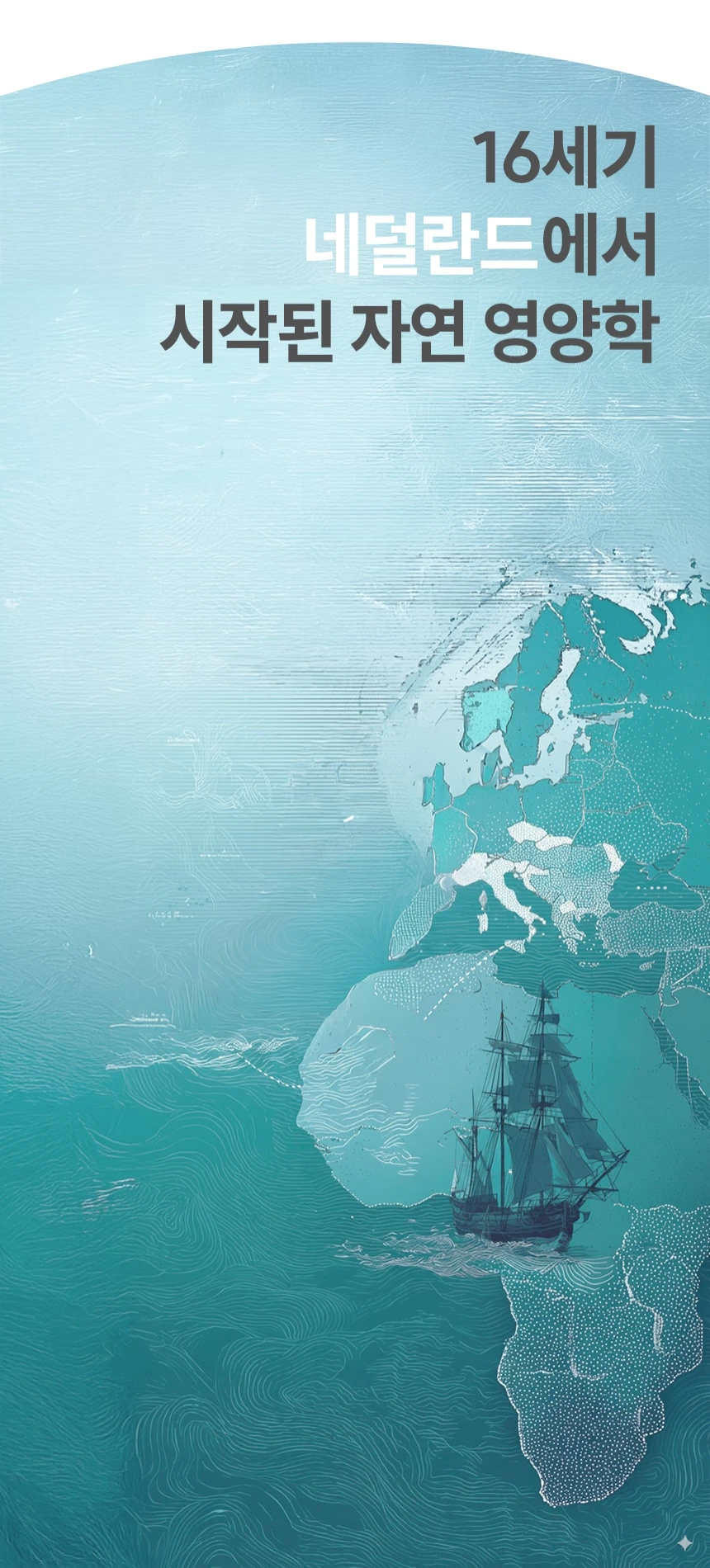 카니비비안 베이비빌통 상세 이미지 10