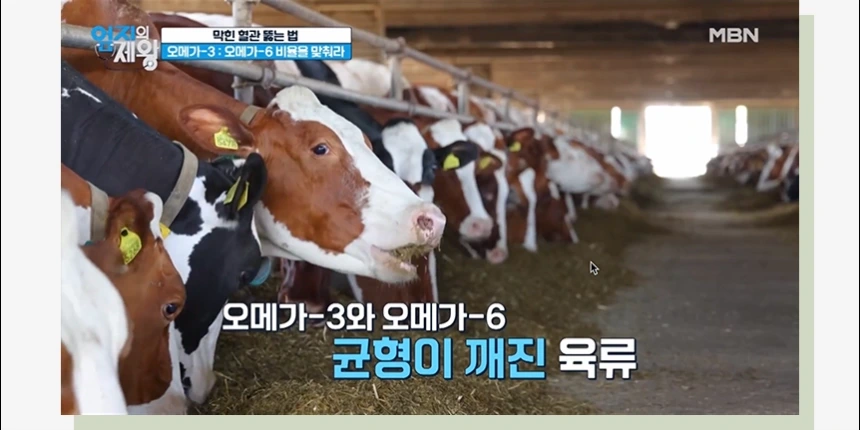 carnivivien.com/베이비빌통 상세 이미지 7